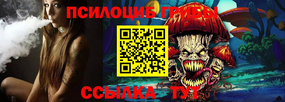 Псилоцибиновые грибы GOLDEN TEACHER Хабаровск
